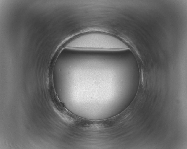 X0000081610204200701151129