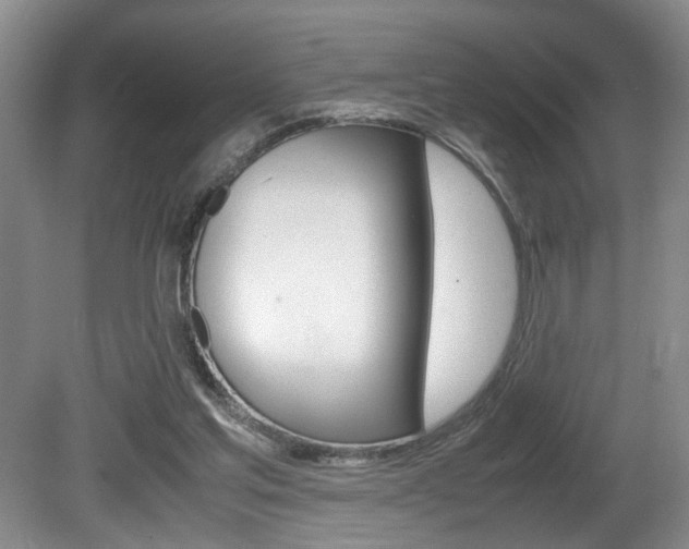 X0000081610205200701151129