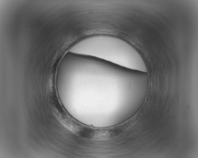 X0000081610206200701151129