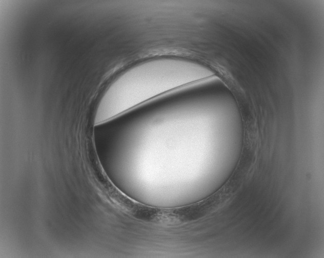 X0000081610207200701151129