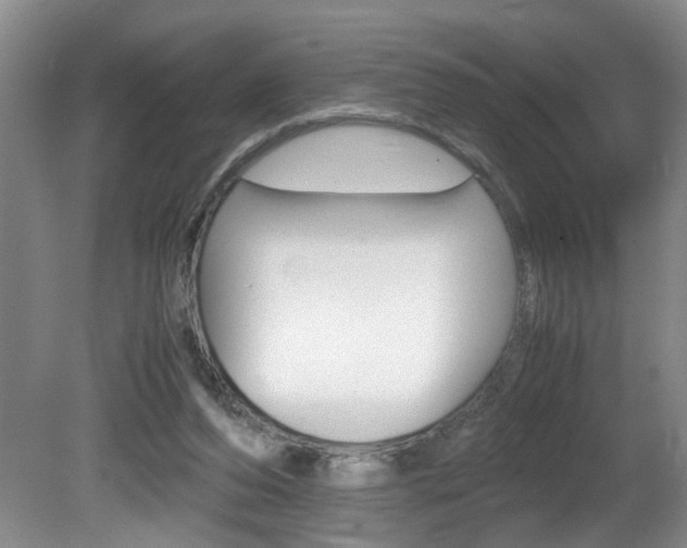 X0000081610208200701151129