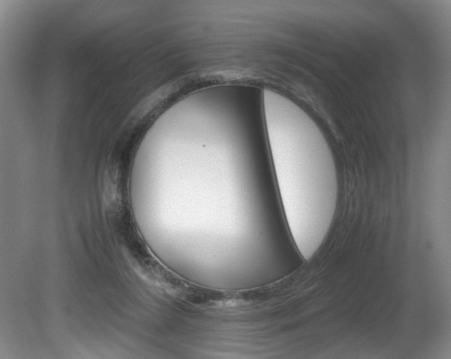 X0000081610212200701151129