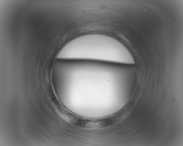 X0000081610213200701151129