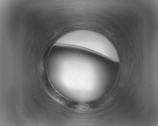 X0000081610215200701151129