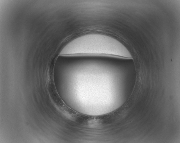 X0000081610216200701151129