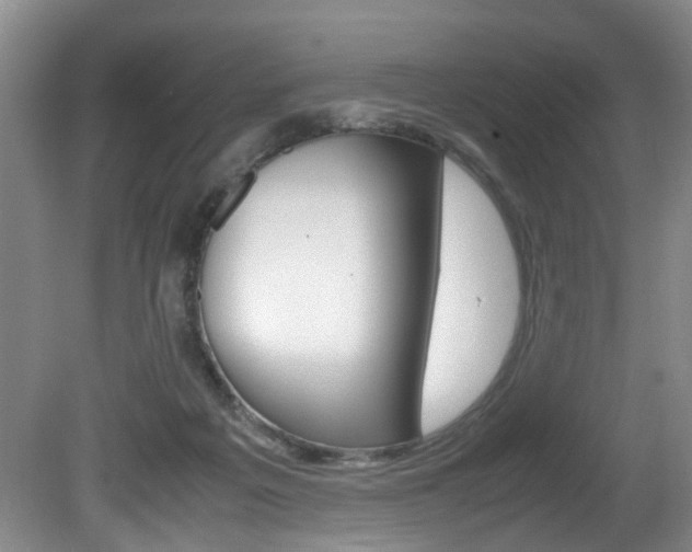 X0000081610217200701151128