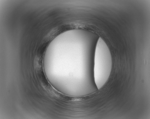 X0000081610218200701151128