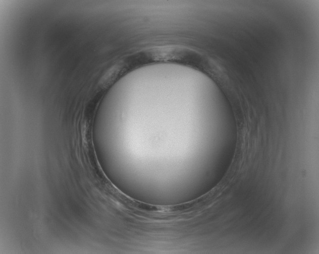 X0000081610219200701151128