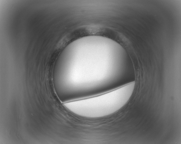 X0000081610221200701151128