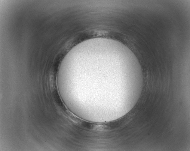 X0000081610222200701151128