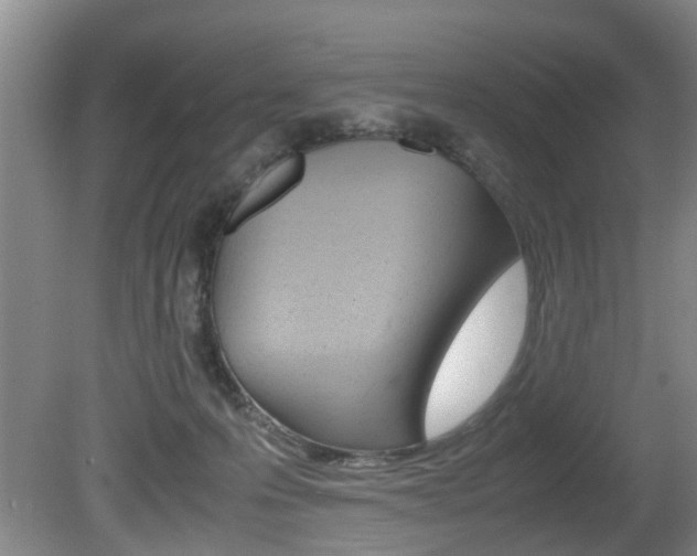 X0000081610223200701151128