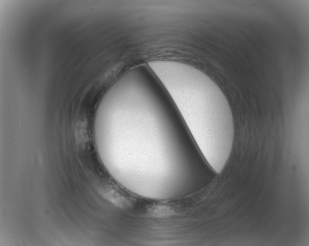 X0000081610224200701151128