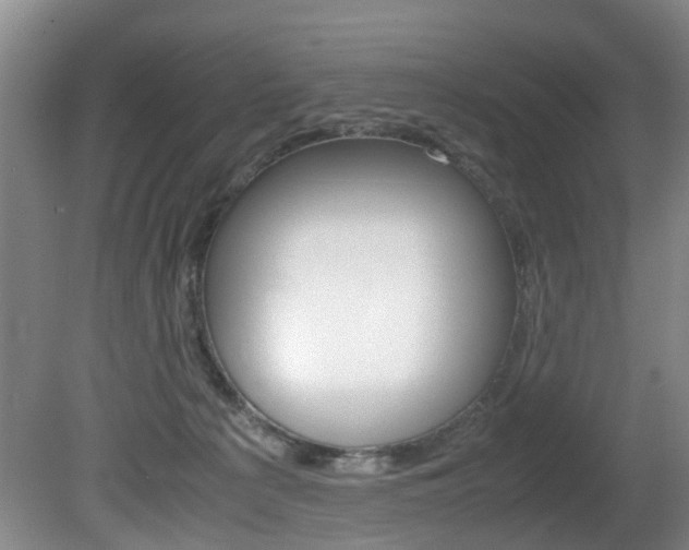 X0000081610225200701151128