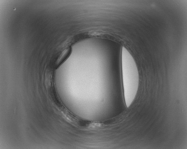 X0000081610227200701151128