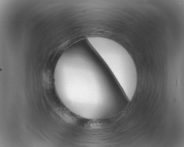 X0000081610228200701151128