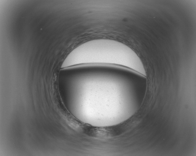 X0000081610229200701151128