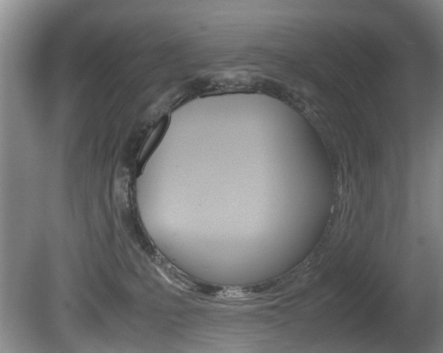 X0000081610231200701151128