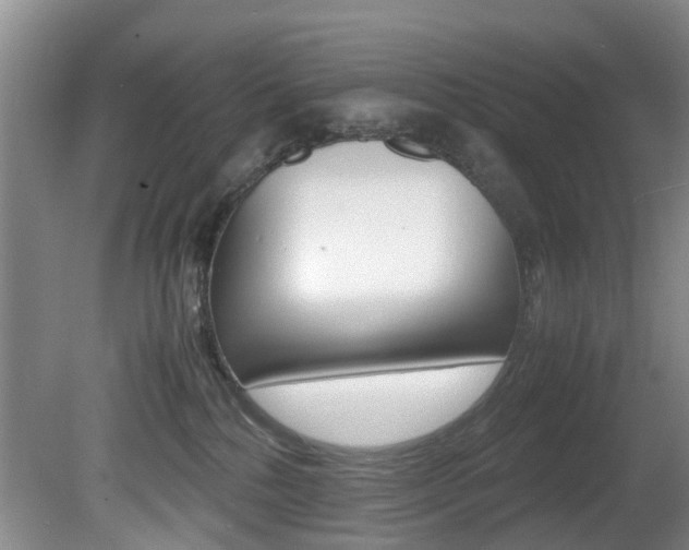 X0000081610232200701151128