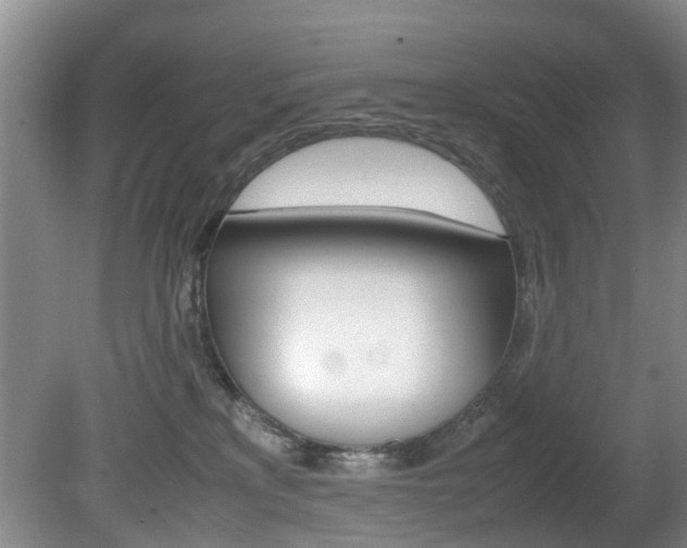 X0000081610233200701151128