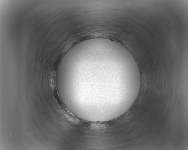 X0000081610234200701151128