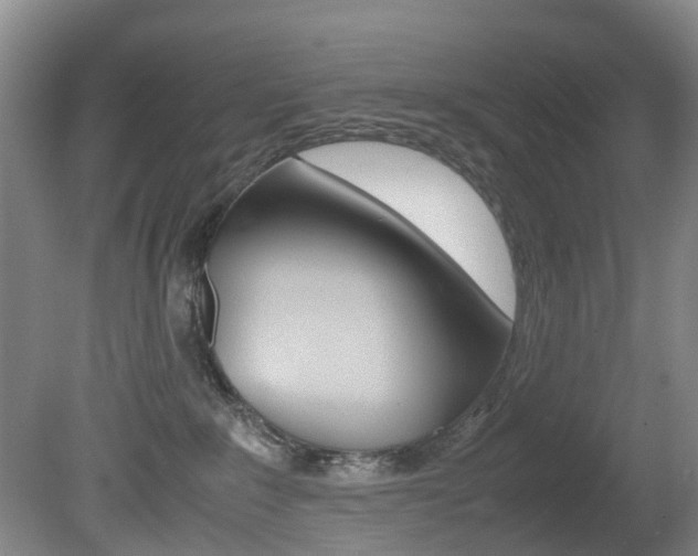 X0000081610235200701151128