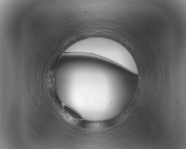 X0000081610237200701151128