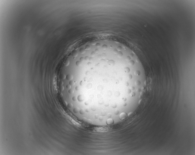 X0000081610238200701151128