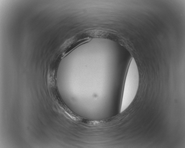 X0000081610239200701151128