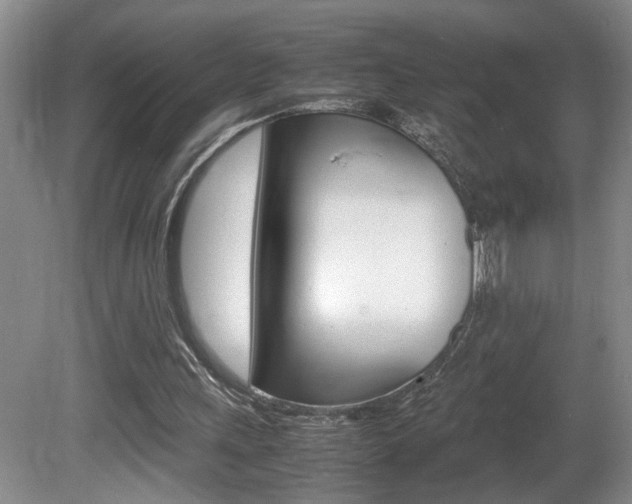 X0000081610243200701151127