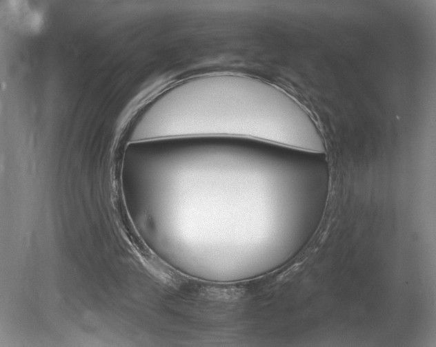 X0000081610245200701151127