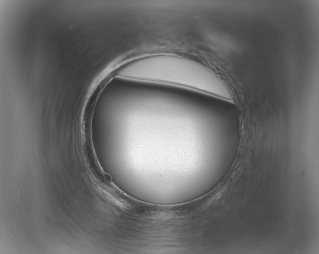 X0000081610246200701151127