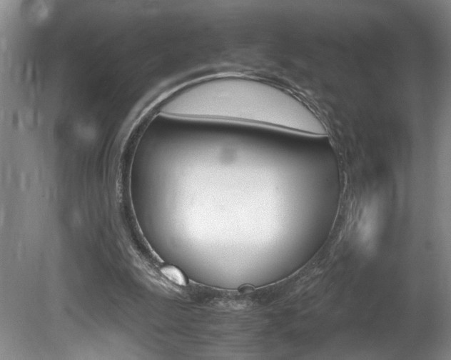 X0000081610247200701151127