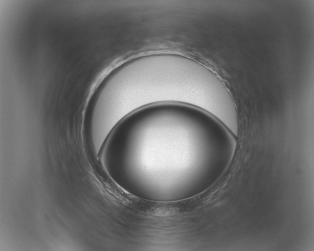 X0000081610248200701151127