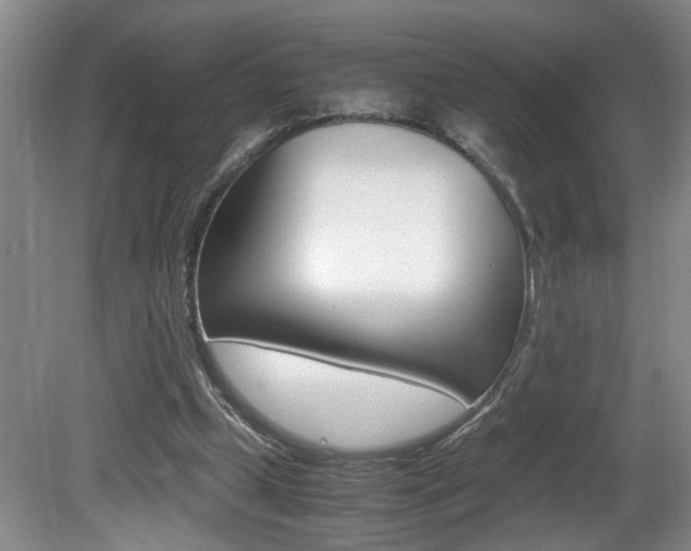 X0000081610249200701151127