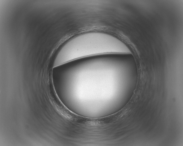 X0000081610250200701151127