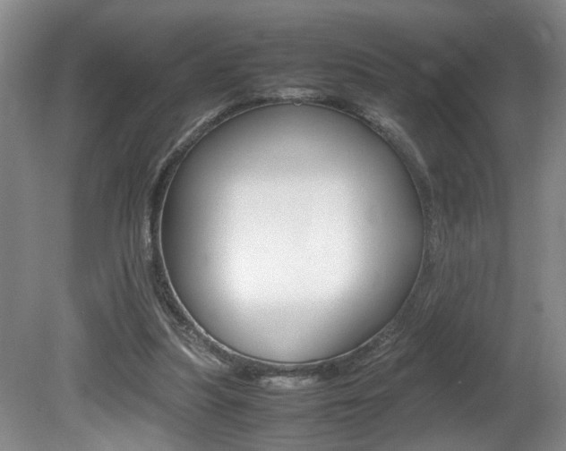 X0000081610251200701151127