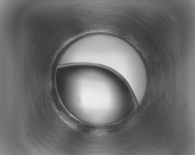 X0000081610252200701151127