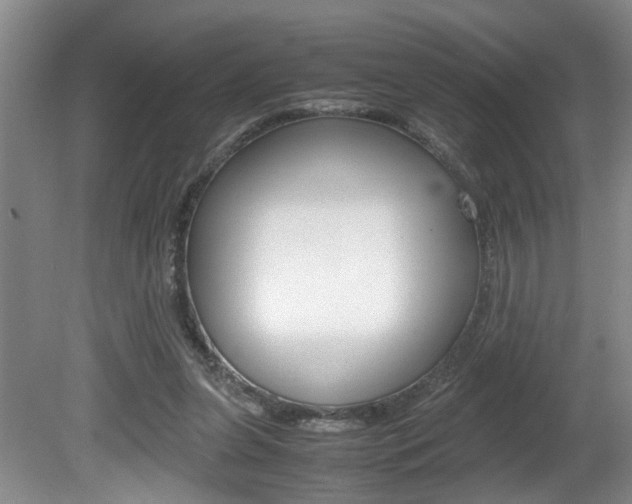 X0000081610255200701151128