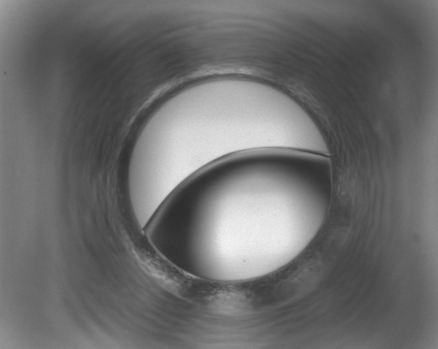 X0000081610256200701151128