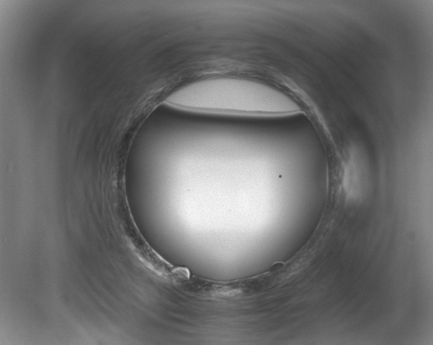 X0000081610257200701151128