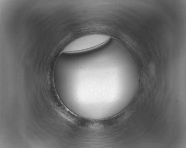 X0000081610258200701151128