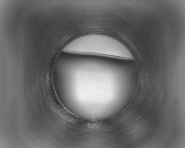 X0000081610259200701151128