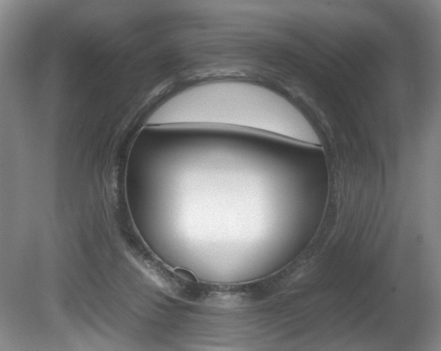 X0000081610260200701151128