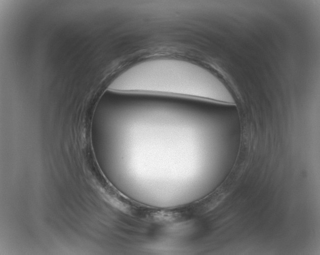 X0000081610261200701151128