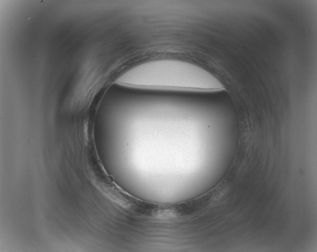 X0000081610262200701151128