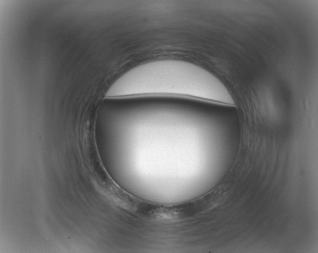 X0000081610263200701151128