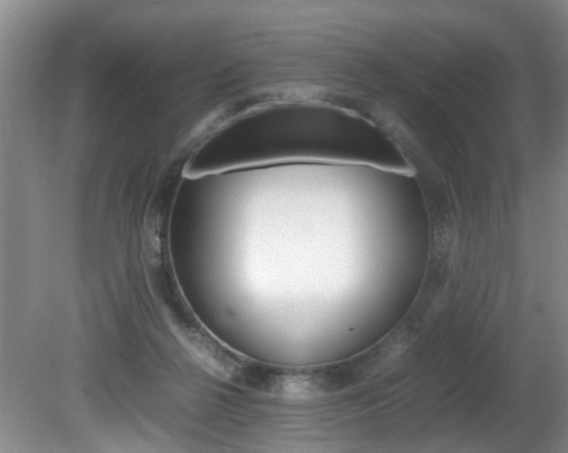 X0000081610264200701151128