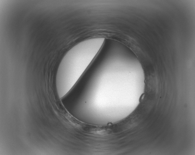 X0000081610267200701151128