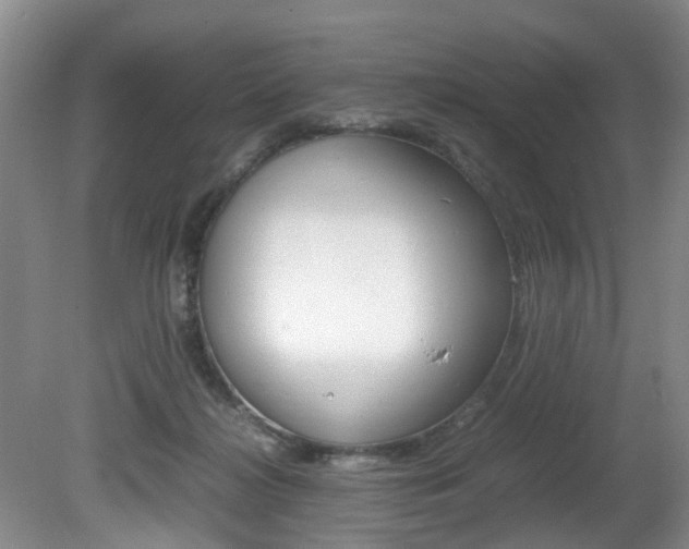 X0000081610268200701151128