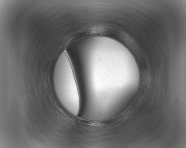 X0000081610269200701151128